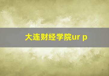 大连财经学院ur p